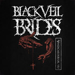 VIP Ticket - Black Veil Brides