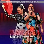 Flamenco Night