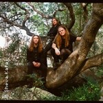 Primitive Ring - Live 2027