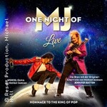 One Night of MJ - The Tribute to The King of Pop!