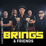 Brings & Friends - mit LaBrassBanda, Moop Mama, dArtagnan